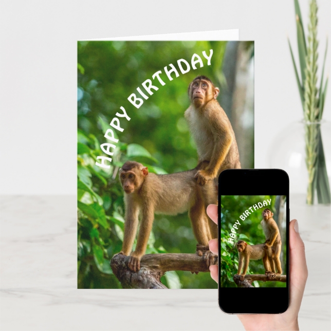 Macacos Engraçados Feliz Aniversário Sujo Cartão